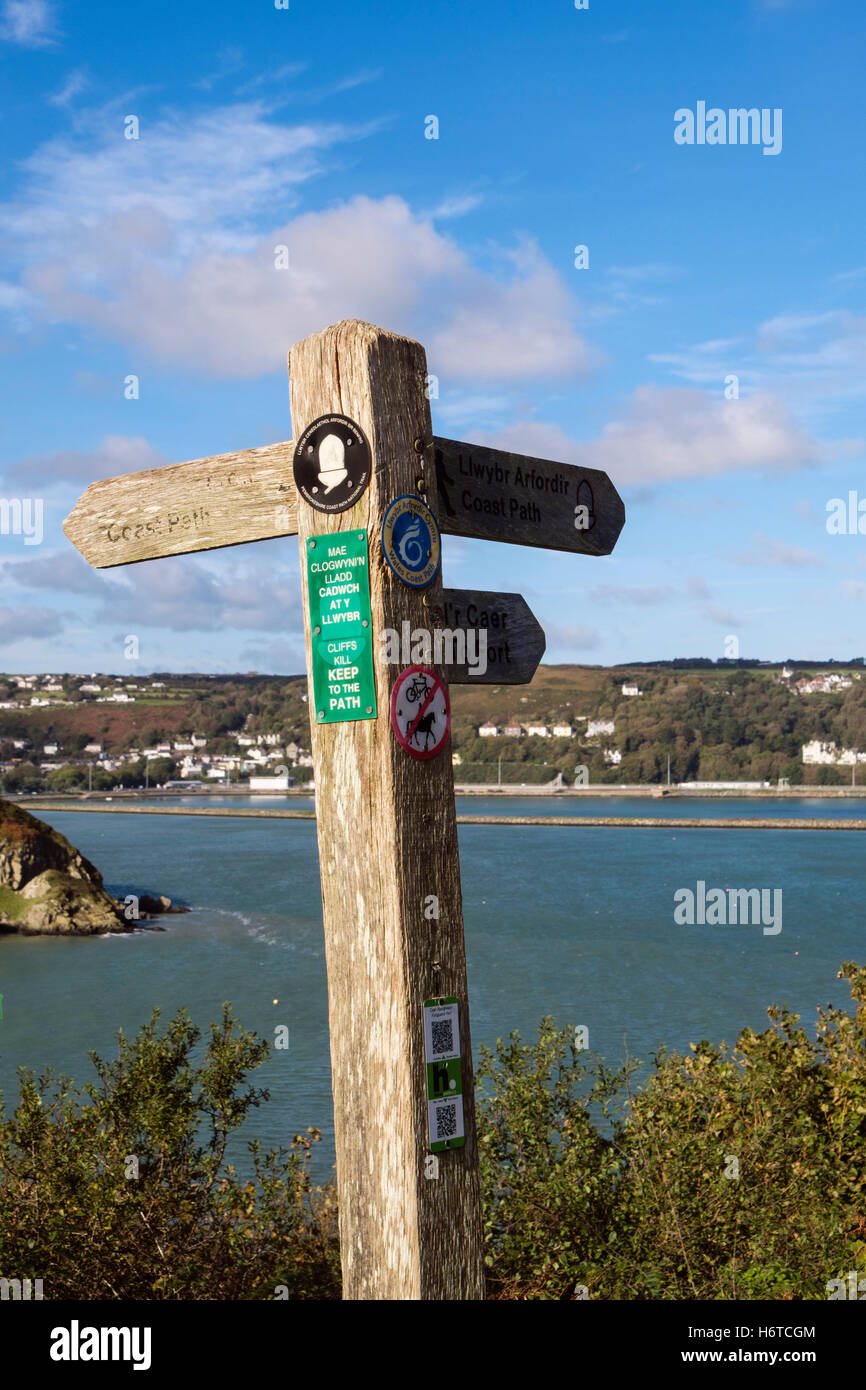Pembrokeshire Coast National bilingue Chemin Sentier panneau avec le logo et l'histoire de points. Pembrokeshire Wales Royaume-uni Fishguard Banque D'Images
