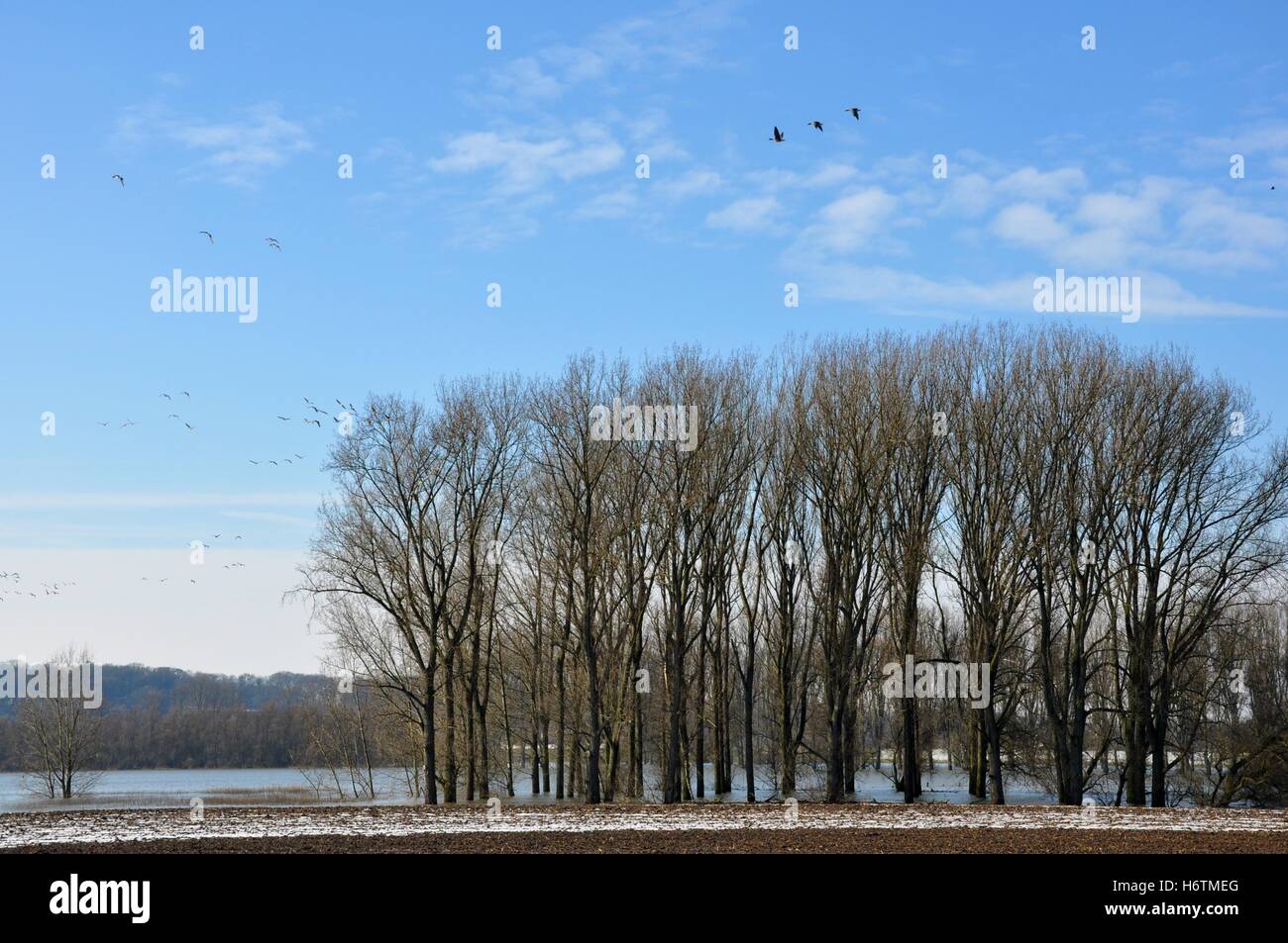 L'île bislicher Banque D'Images