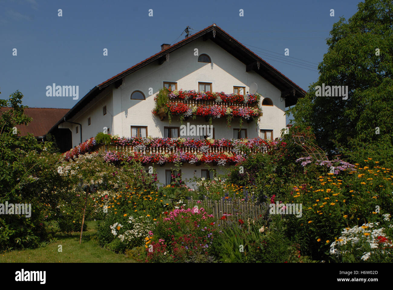 Jardin de l'été plante ferme bavière summerly balcon Jardin jardins de fleurs plantes Agriculture agriculture fleurs summerly d'été Banque D'Images