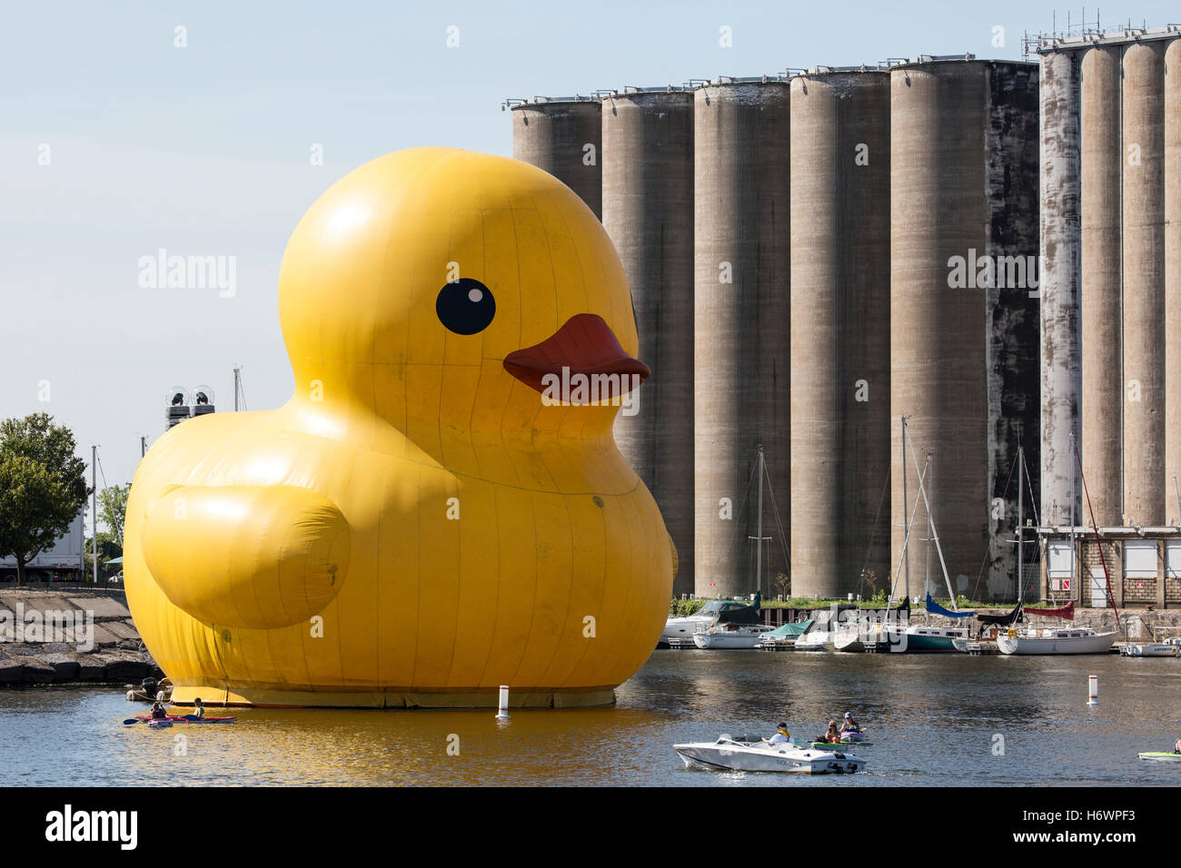 Canard en caoutchouc géant en face de silos à grain, Buffalo, New York waterfront port. Banque D'Images