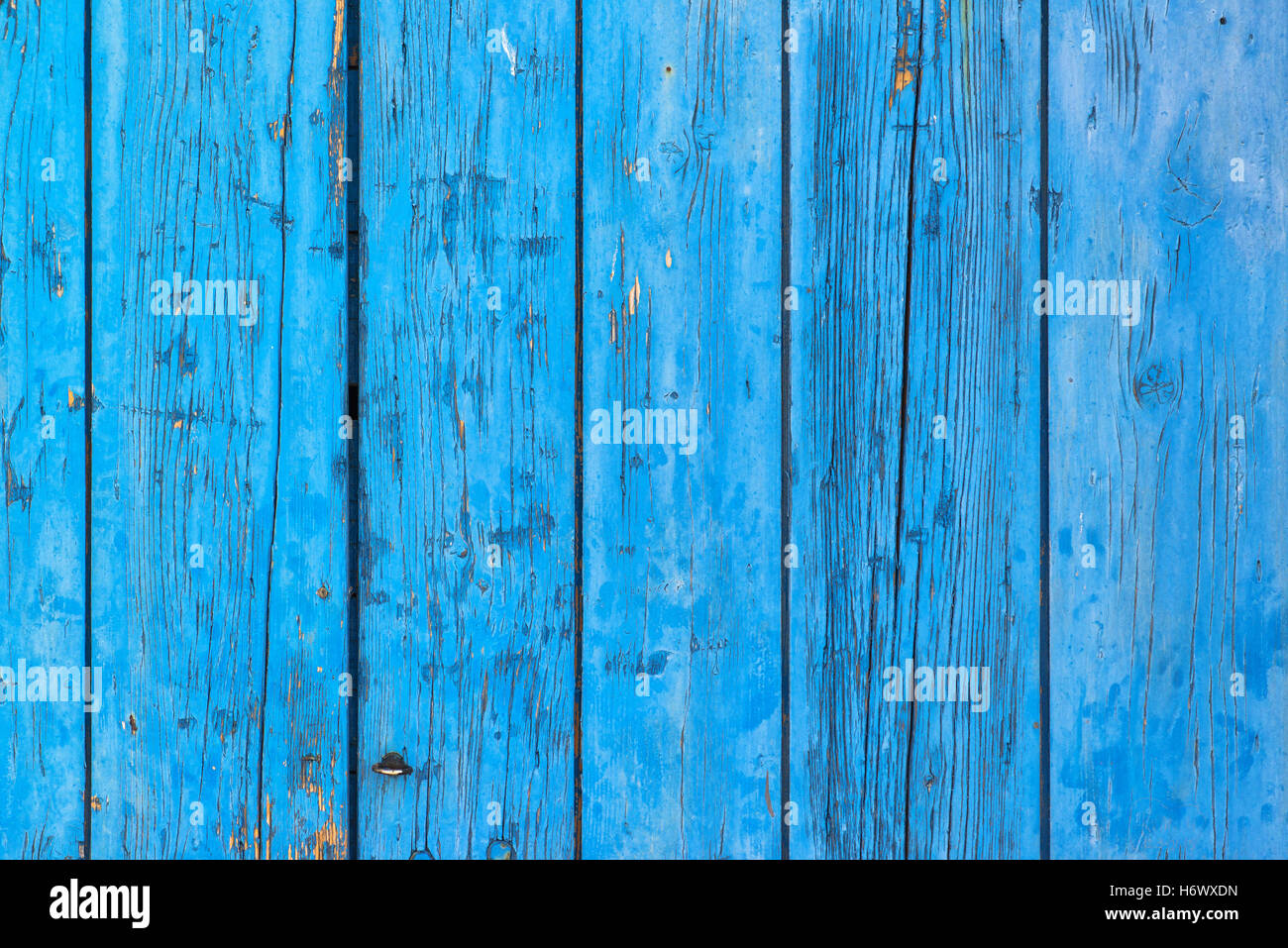 Bandes bleu rustique en bois ancien, surface avec décollement de peinture Banque D'Images
