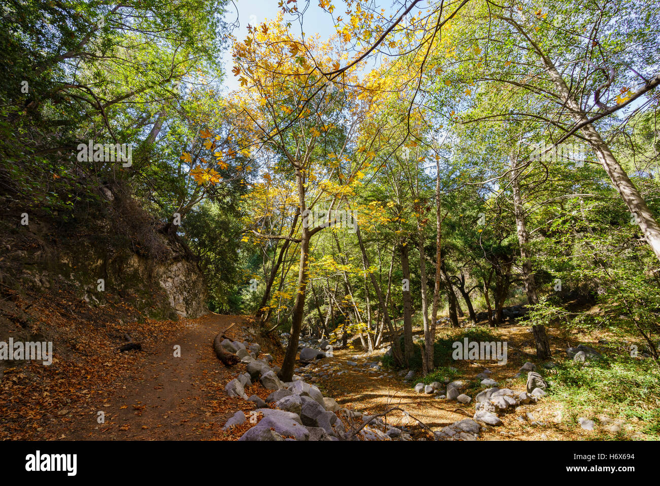 Belle couleur d'automne sentier des chutes de la Suisse, Los Angeles, Californie Banque D'Images