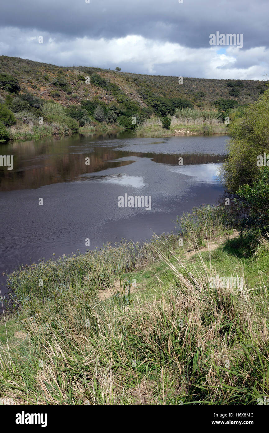 Breede River serpente à travers le Parc National de Bontebok au pied de la montagnes Langeberg près de Swellendam, Afrique du Sud. Banque D'Images