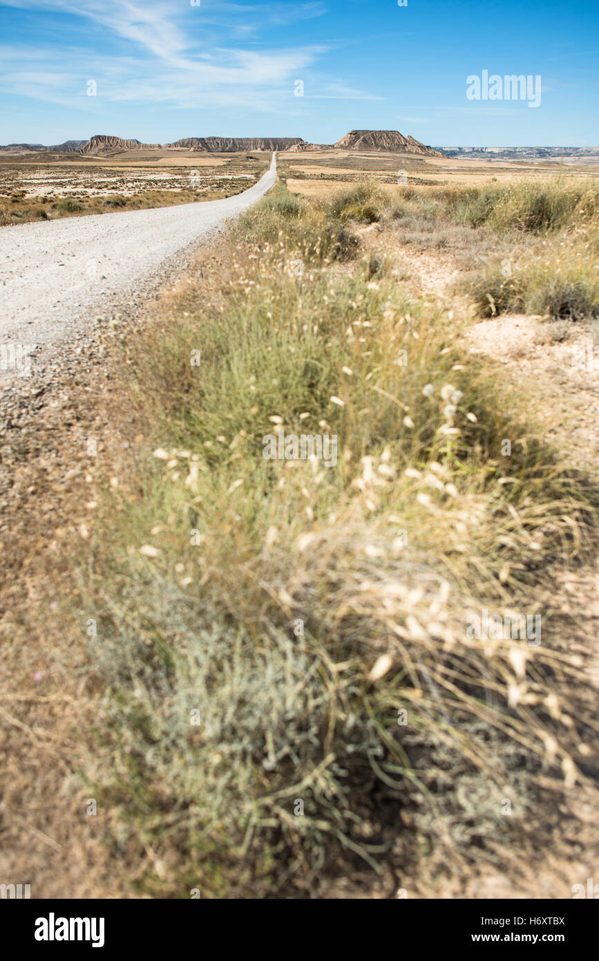 Wild West route de terre et de pierre montagne Banque D'Images