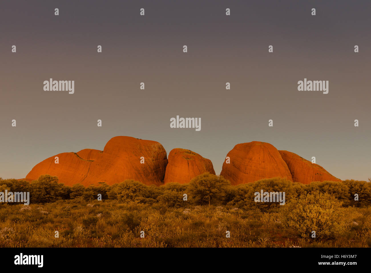 Dômes de Kata Tjuta au coucher du soleil Banque D'Images