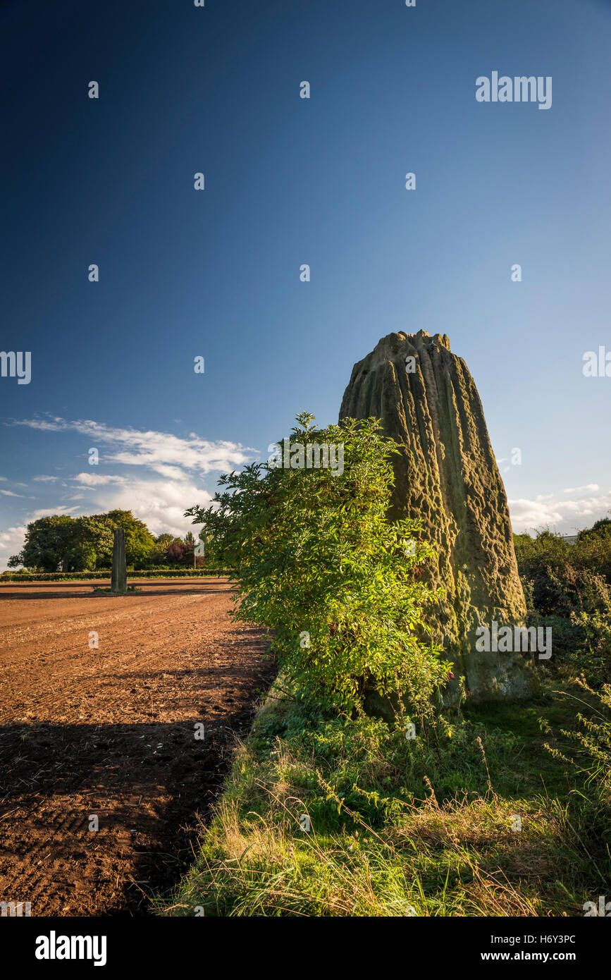Les Flèches du Diable menhirs néolithiques près de Boroughbridge, Yorkshire, UK Banque D'Images