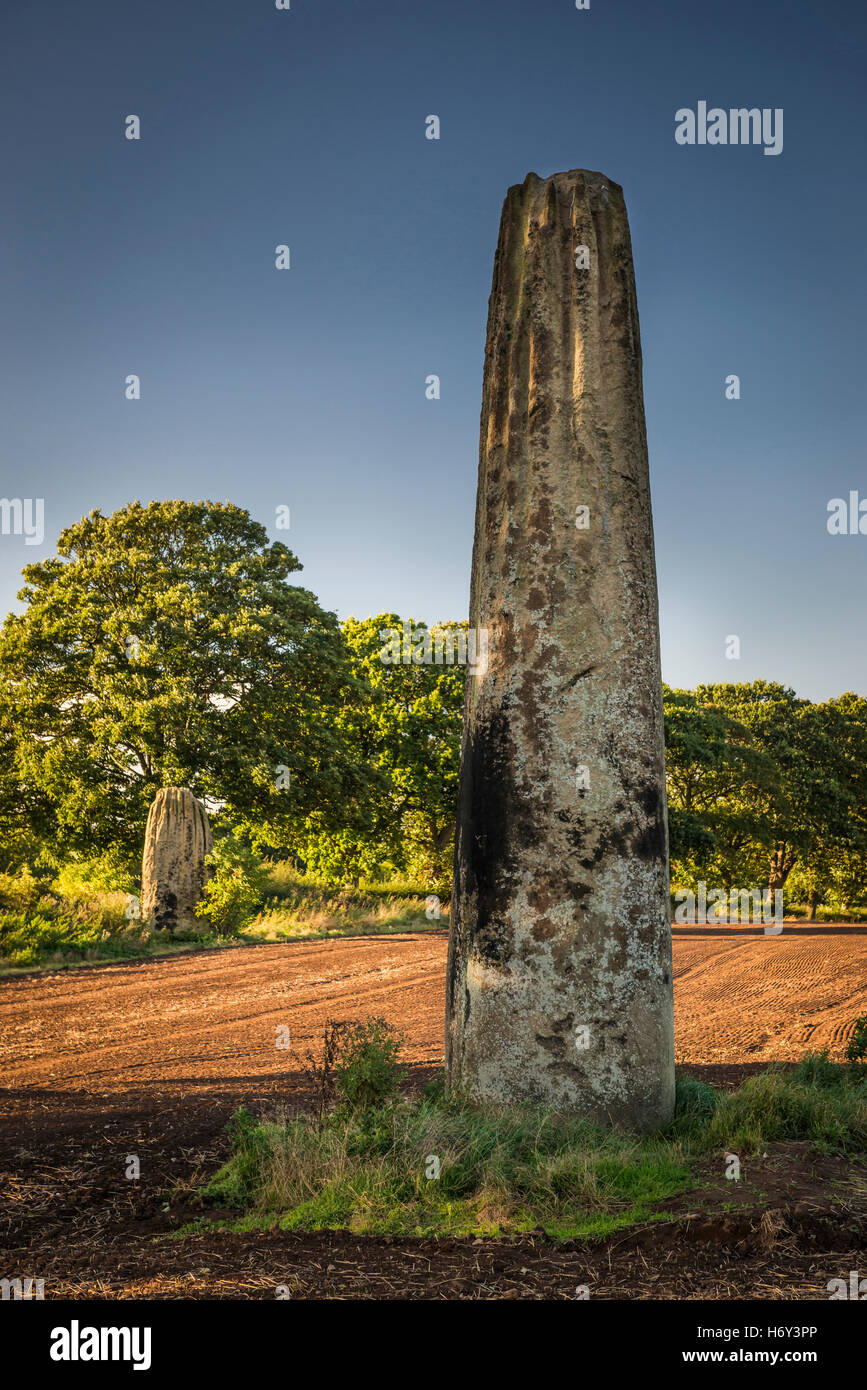 Les Flèches du Diable menhirs néolithiques près de Boroughbridge, Yorkshire, UK Banque D'Images