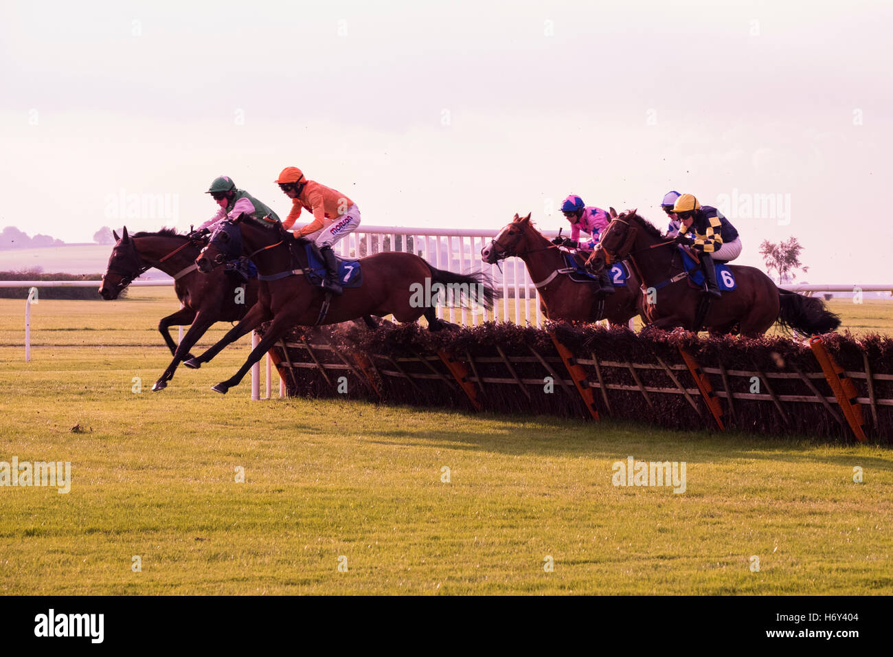 Plus de courses de chevaux de course à obstacles Wincanton dans Somerset UK Banque D'Images