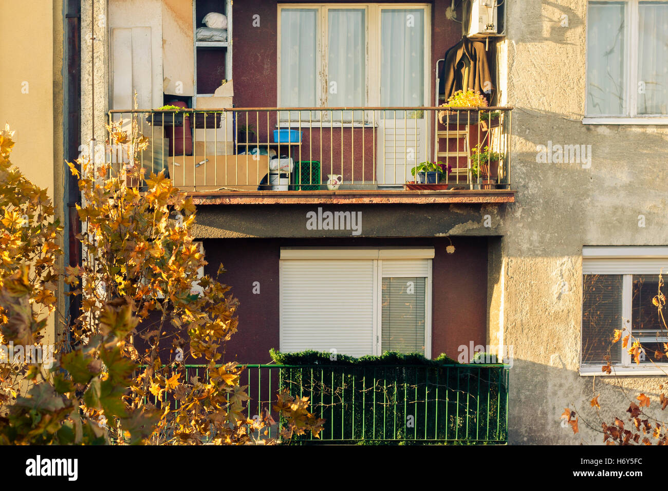 Deux terrasses voisines dans le coucher du soleil / affichage fenêtre Banque D'Images