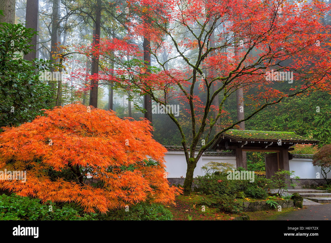 Passerelle vers le jardin japonais de Portland à l'automne 2014 Banque D'Images