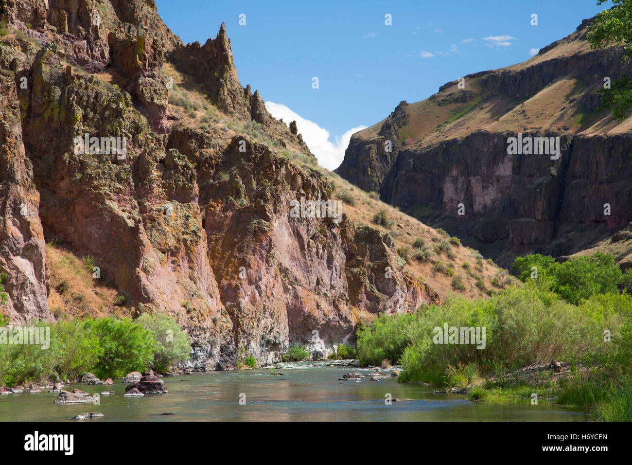 Owyhee River Canyon inférieur, Vale District Bureau de la gestion des terres, de l'Oregon Banque D'Images