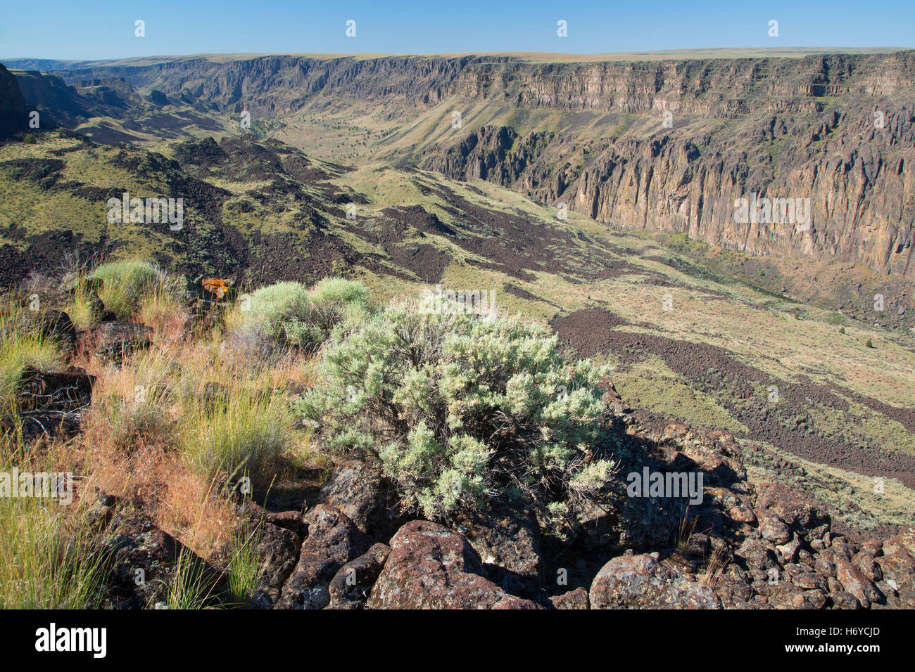 Owyhee Canyon Overlook, Valley Wild and Scenic River, Vale District Bureau de la gestion des terres, de l'Oregon Banque D'Images