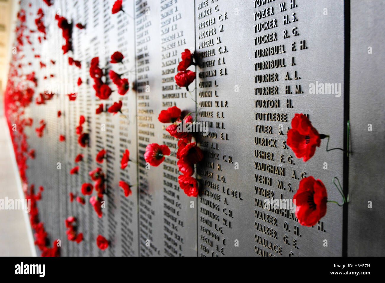 Visiteurs quittent papier rouge coquelicots dans tableau d'honneur wall pour les proches tués en action. Mémorial australien de la guerre de Canberra. act. Banque D'Images