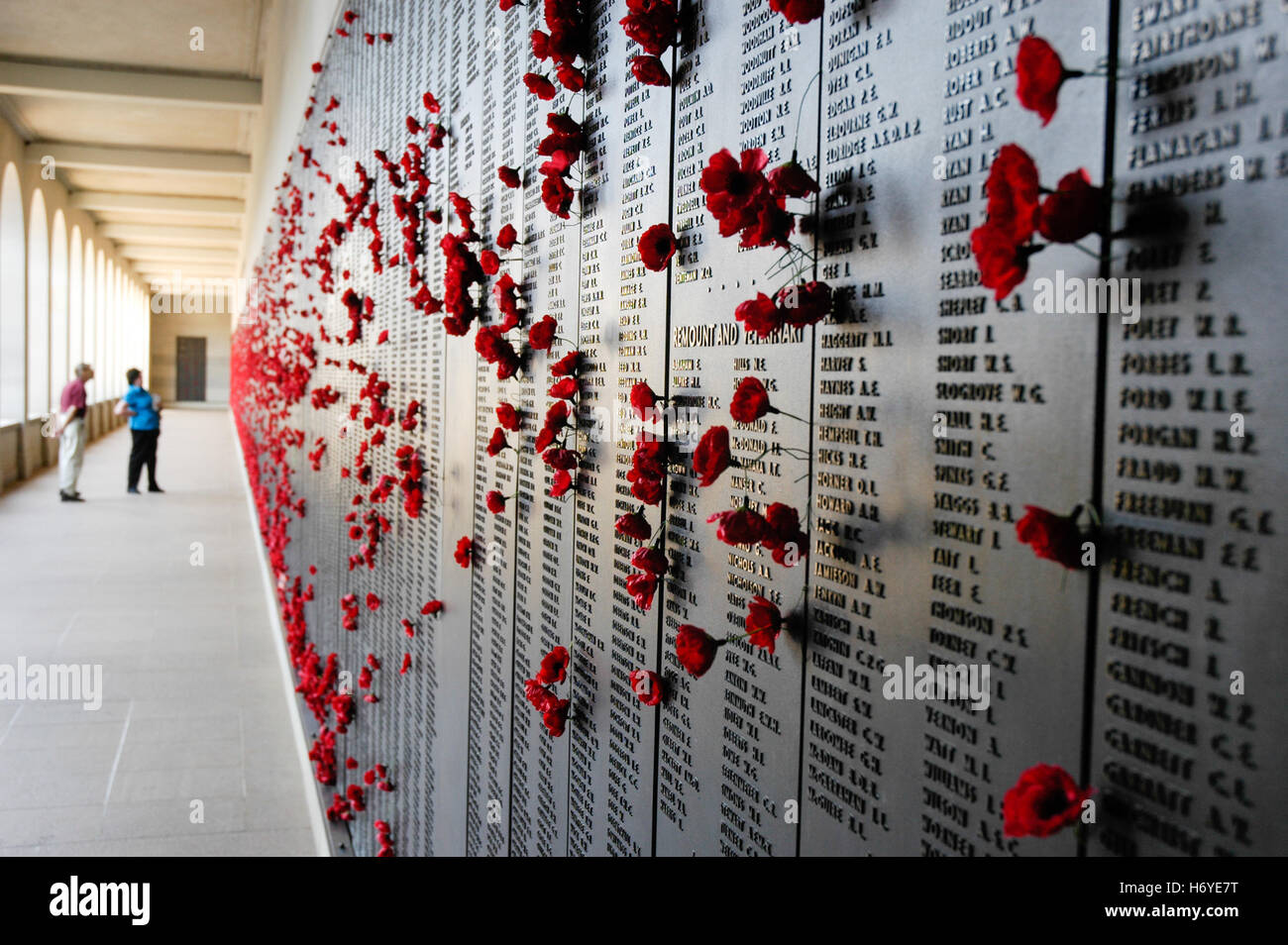 Visiteurs quittent papier rouge coquelicots dans tableau d'honneur wall pour les proches tués en action. Mémorial australien de la guerre de Canberra. act. Banque D'Images