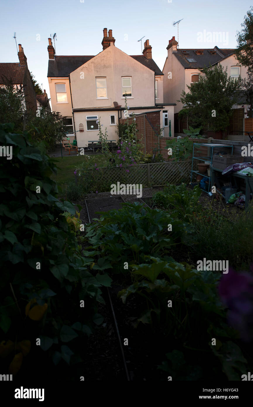 Soleil de l'après-midi, Leigh-on-Sea, Essex, Angleterre, Royaume-Uni Banque D'Images