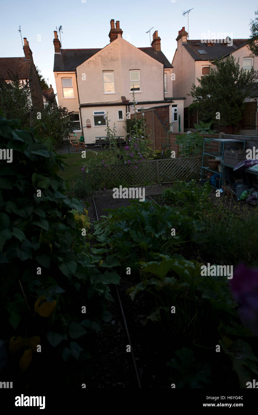 Soleil de l'après-midi, Leigh-on-Sea, Essex, Angleterre, Royaume-Uni Banque D'Images