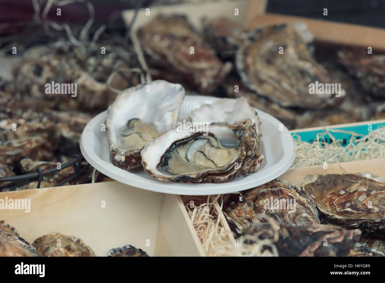 Marché de poissons traditionnels stall pleins d'huîtres en coquille sur la plaque Banque D'Images