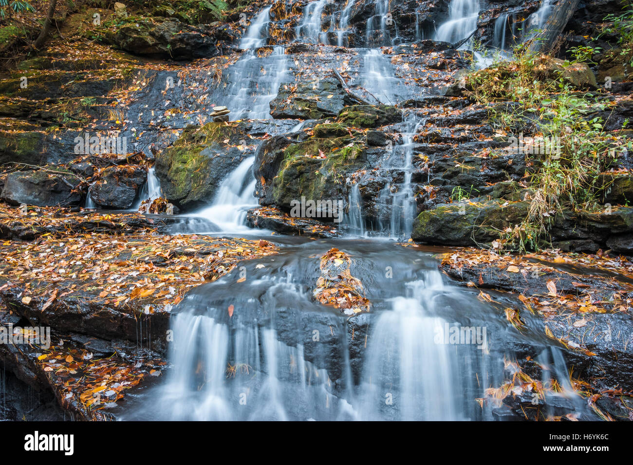Les feuilles d'automne décorer de magnifiques chutes Trahlyta au parc d'état de Vogel dans les Blue Ridge Mountains de la Géorgie du Nord, USA. Banque D'Images