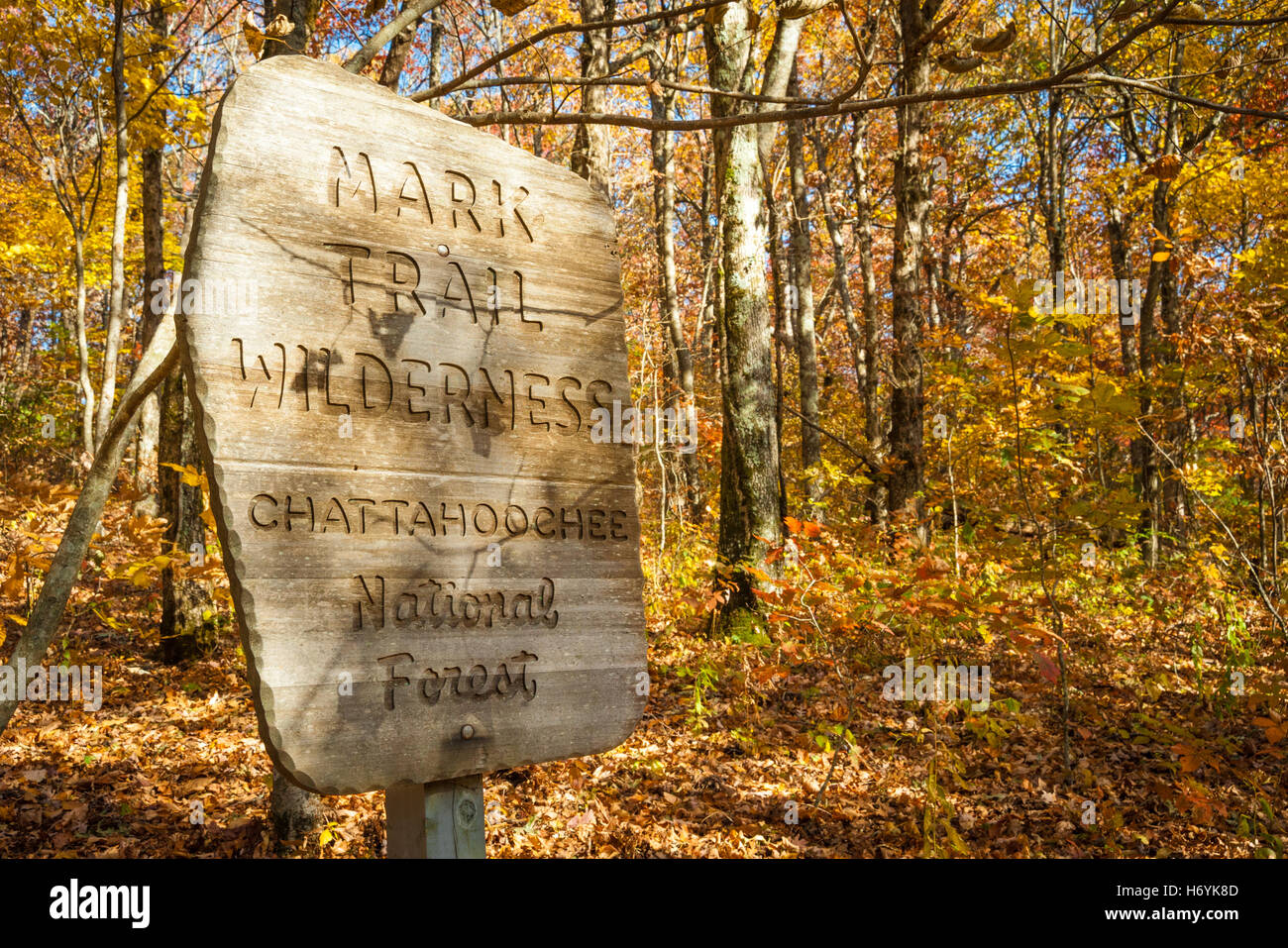 Mark Trail Wilderness signer le long de l'Appalachian Trail dans North Georgia's Chattahoochee National Forest. (USA) Banque D'Images