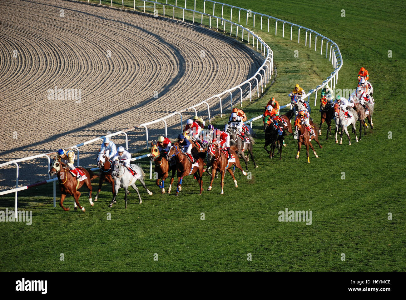 Ankara, Turquie - 29 octobre 2011 - 29 octobre Journée de la république les courses de chevaux à l'hippodrome. Banque D'Images