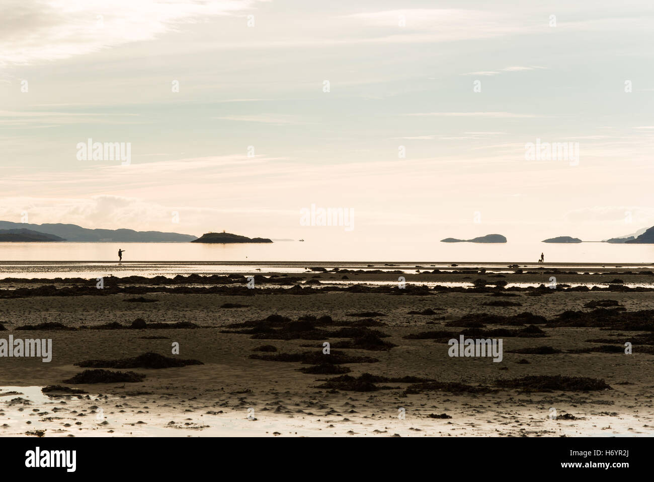 Family walking dog sur la plage s'amusant Banque D'Images