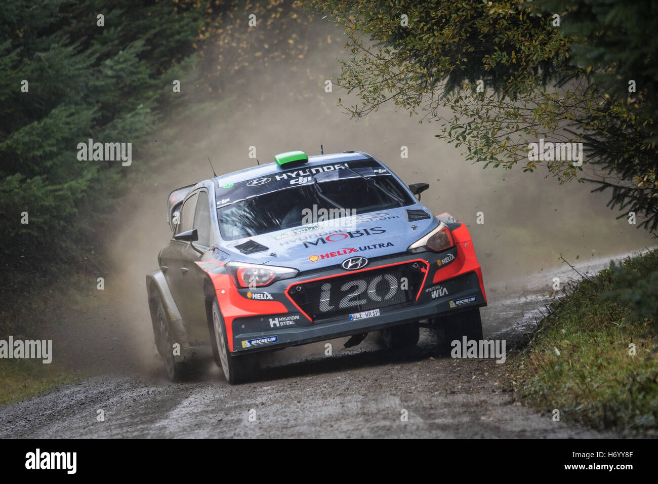 Une Hyundai i20 conduit par Hayden Paddon prend un virage dans le Dyfnant stade de Wales Rally GB 2016 Banque D'Images