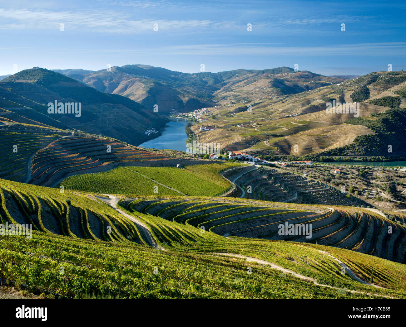 Le Portugal, la Vallée du Douro, le quartier du vin, les vignobles et la rivière Douro à Pinhao Banque D'Images