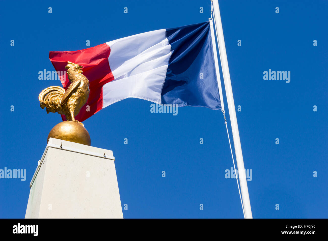 Le tricolore français et jeune coq. Les deux symboles de France ou Francité Photo Stock Alamy Le tricolore français et jeune coq. Les deux symboles de France ou Francité Photo Stock Alamy