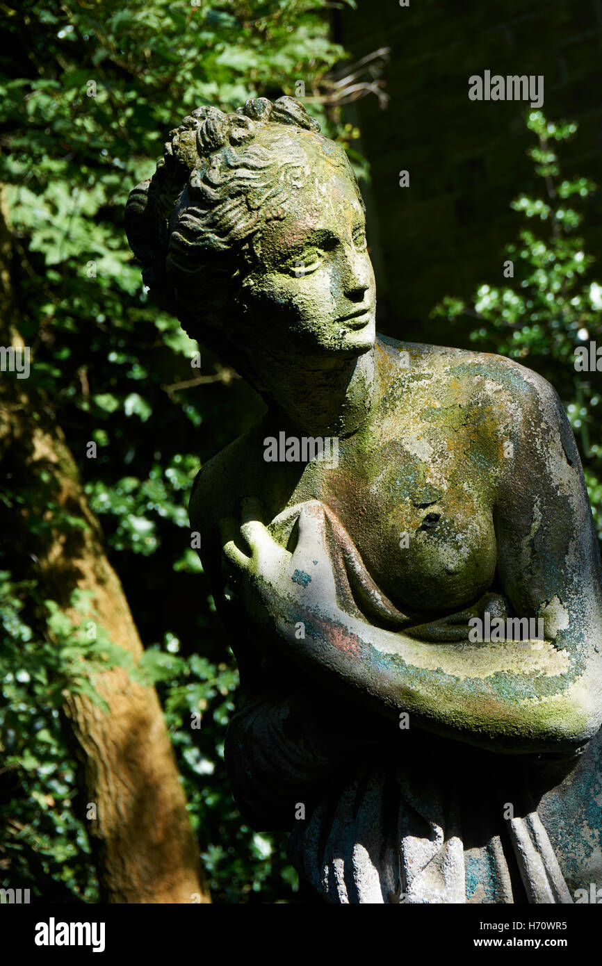 Extrêmement rare et beau jardin très soigné avec une espèces de fleurs Banque D'Images