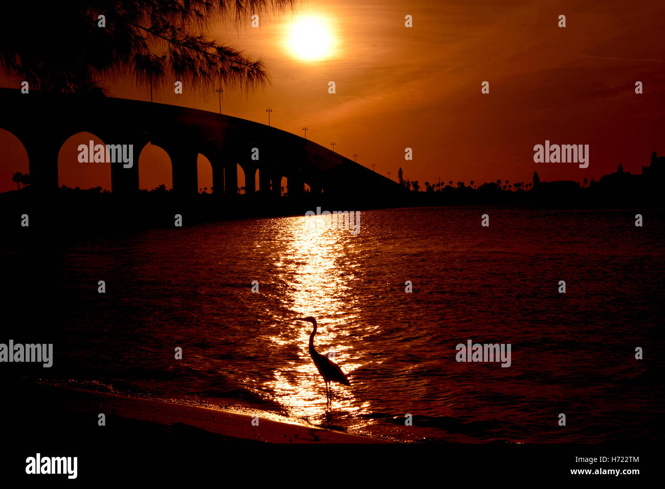 Pont sur la baie coucher du soleil et un paysage d'oiseaux Banque D'Images