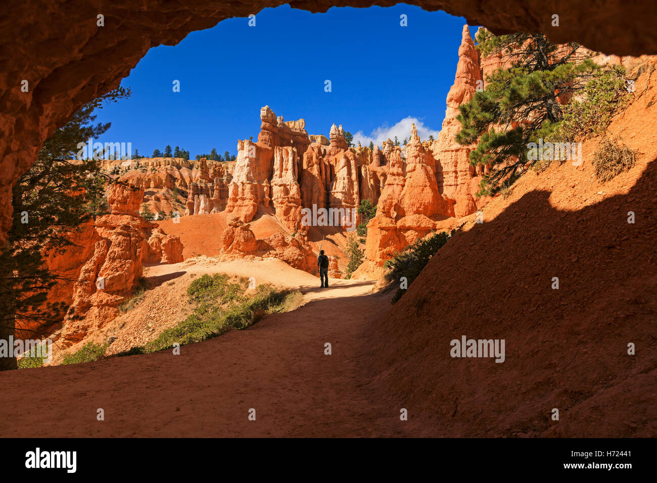 Un randonneur fait une pause pour admirer des formations rocheuses rouges spectaculaires le long de la Queens Garden Trail à Bryce Canyon National Park Utah USA Banque D'Images