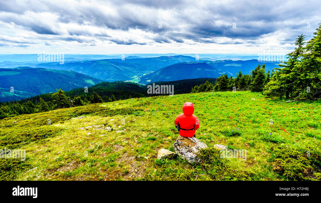 Senior woman une randonnée dans les alpages de haute montagne Tod dans le Highlands of British Columbia Shuswap Banque D'Images