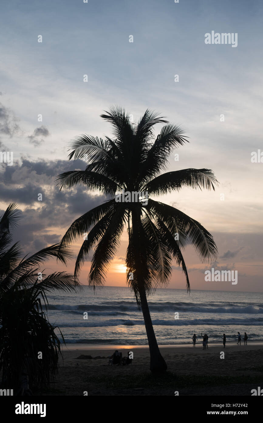 Palmier et des silhouettes de gens qui marchent sur la plage pendant le coucher du soleil magnifique. Concept d'été Banque D'Images