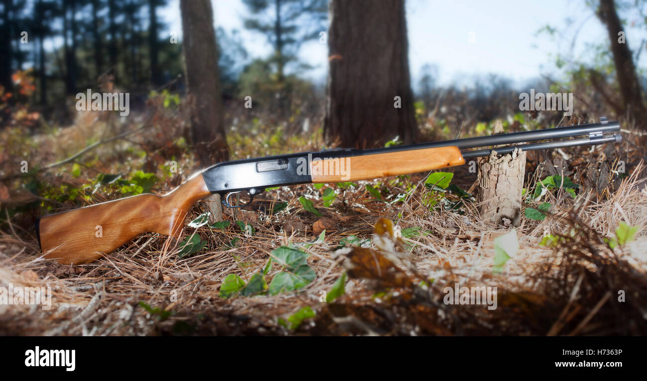 Carabine semi-automatique pour vingt-deux munitions dans une forêt Banque D'Images