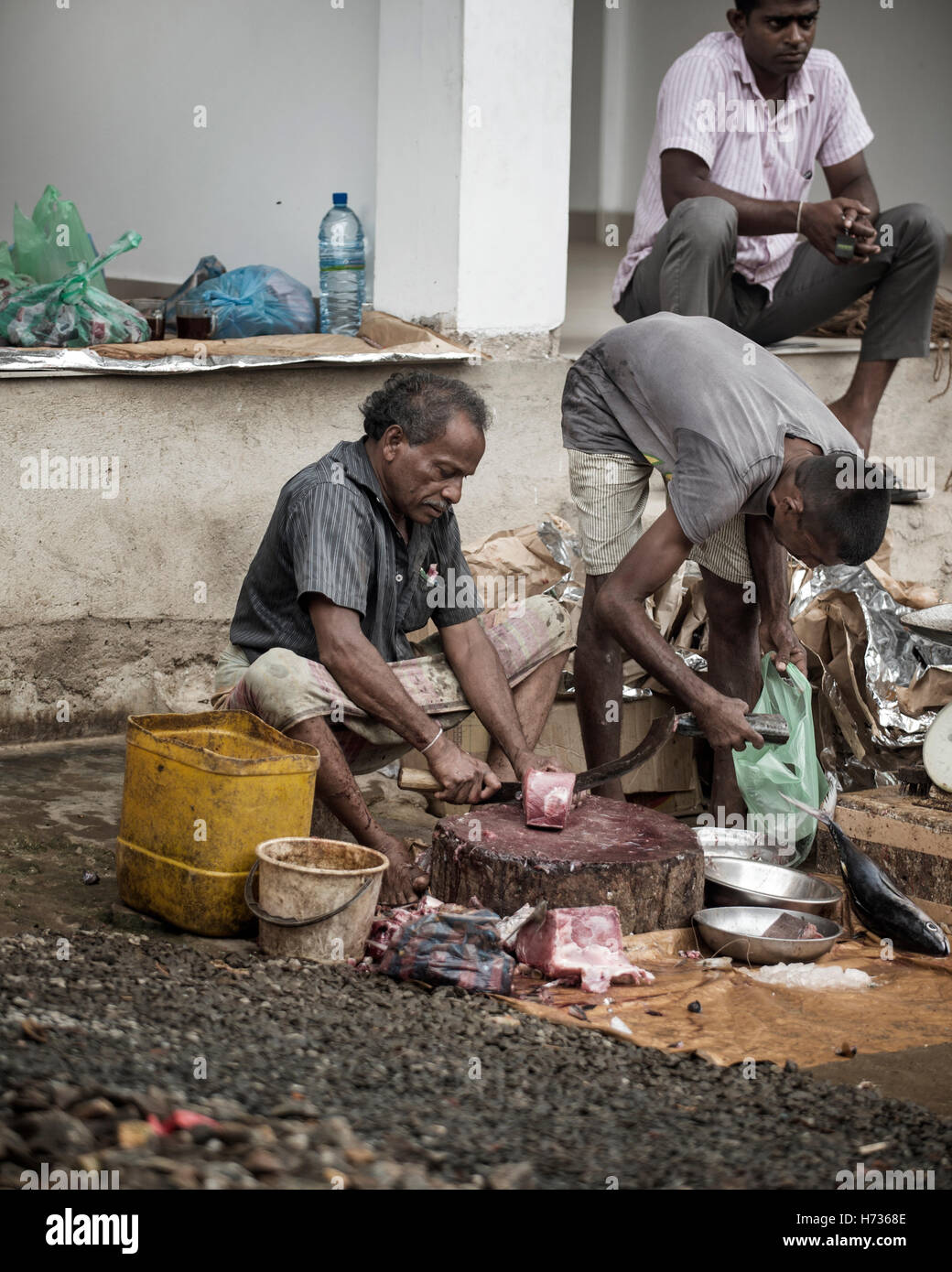 Fish monger, Rathnapura, Sri Lanka Banque D'Images