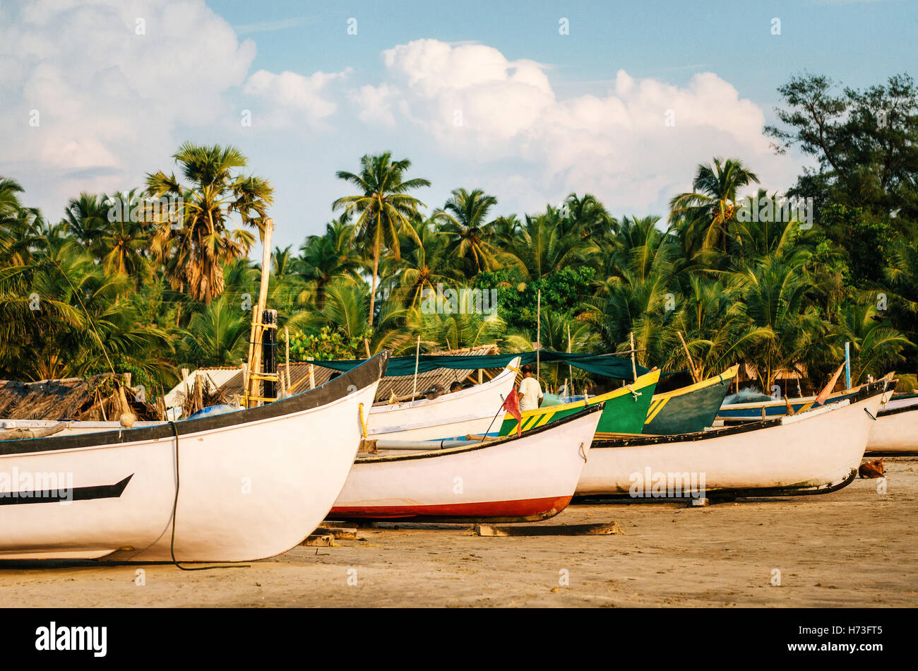 Bateaux de pêche en bois contre les palmiers sur la plage de Morjim, Nord de Goa Inde Banque D'Images