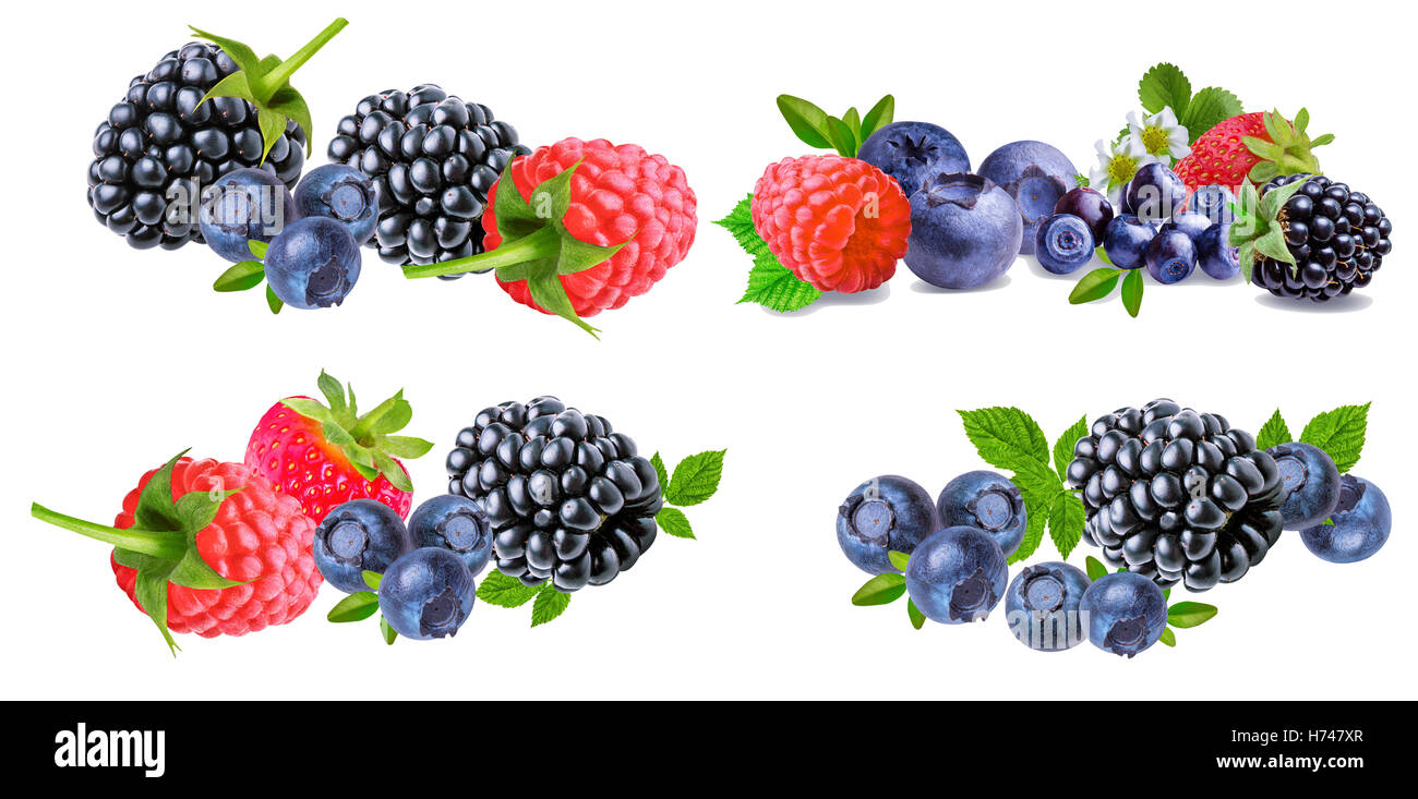 Collection(Framboises, fraises, mûres, bleuets, bleuet) de berry isolé sur fond blanc Banque D'Images