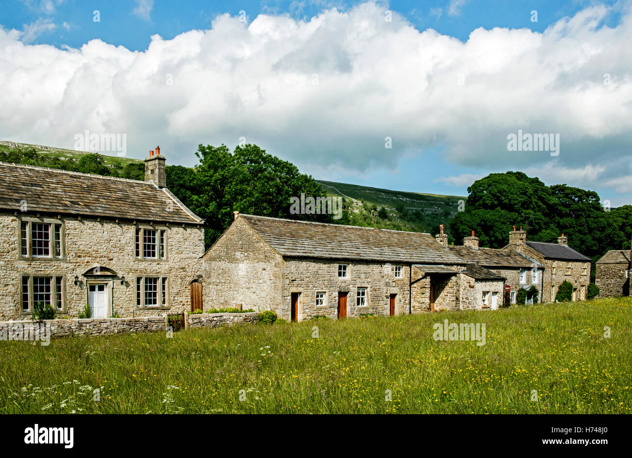 Village d'arnecliff dans littondale Yorkshire Dales en été, montrant une rangée de maisons en pierre le long de la verte. Banque D'Images