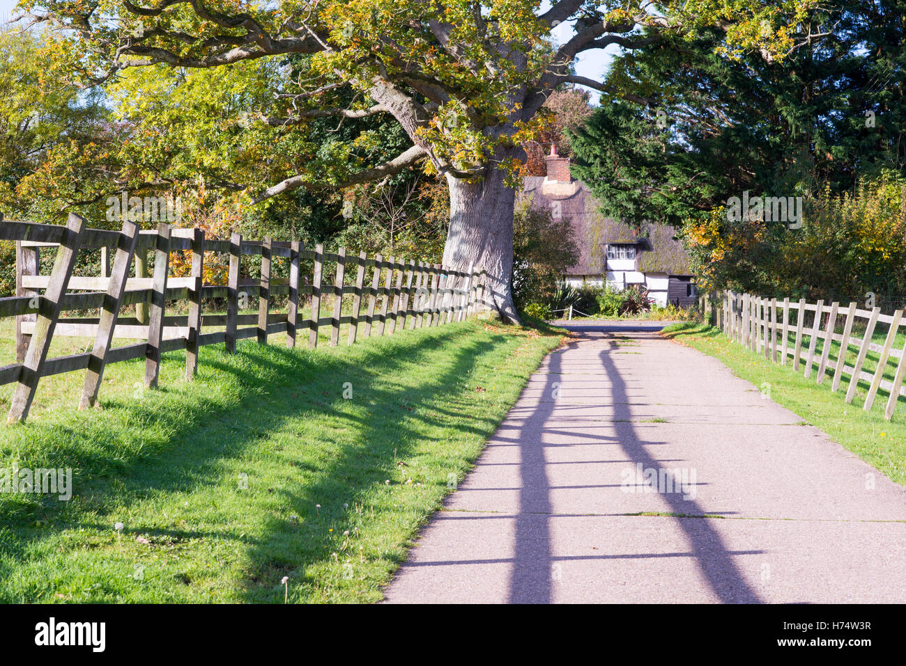 Banbury, Fordingbridge, Hampshire, Royaume-Uni. Le sentier public grâce à la ferme s'ouvre en face d'un restaurant au toit de chaume sur l'A338. Banque D'Images