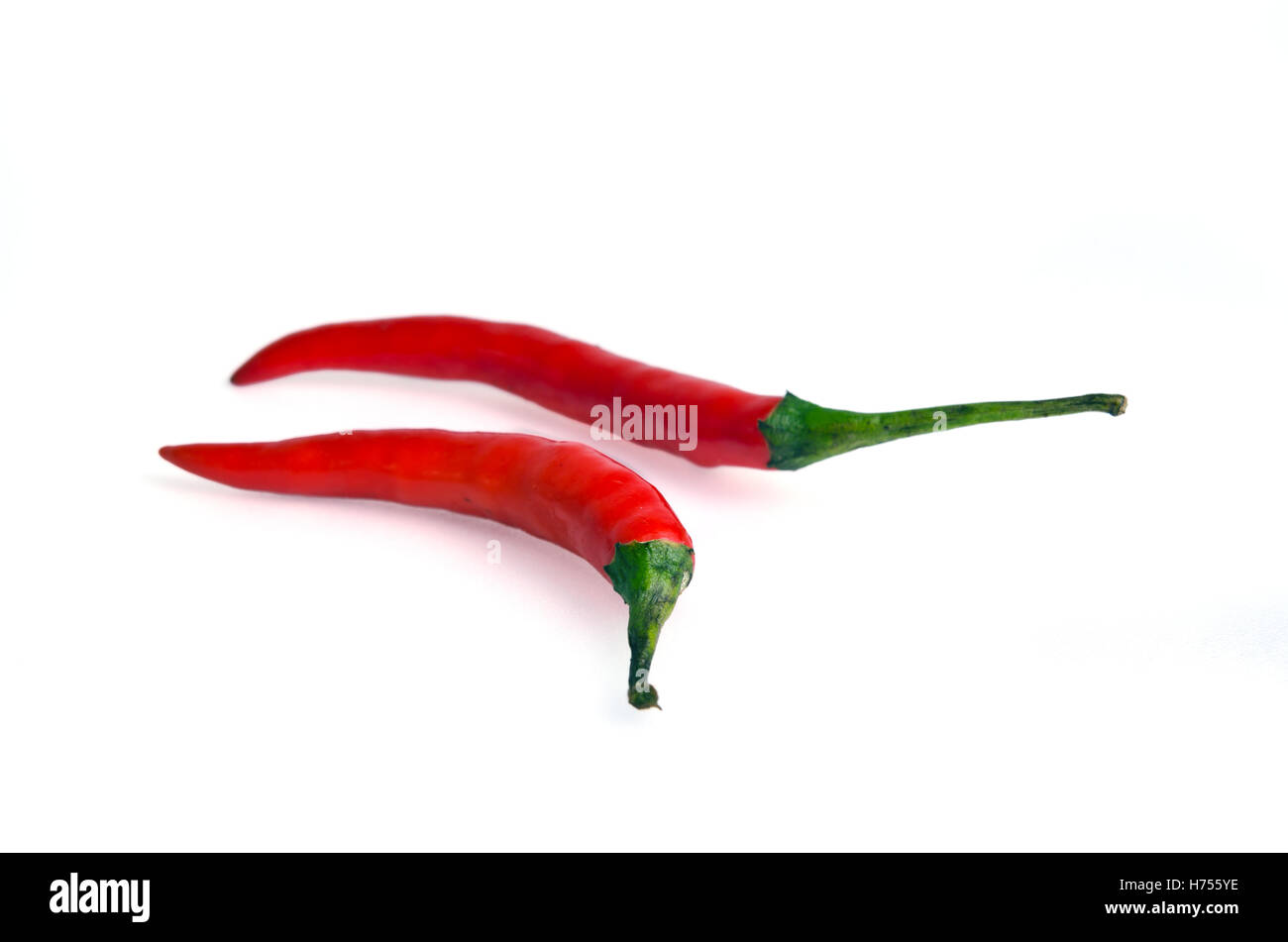 Spicy Red hot chili pepper (aussi nommé comme le chili pepper, Capsicum annuum, Capsicum frutescens, piment, POIVRON Capsicum chinense, Banque D'Images