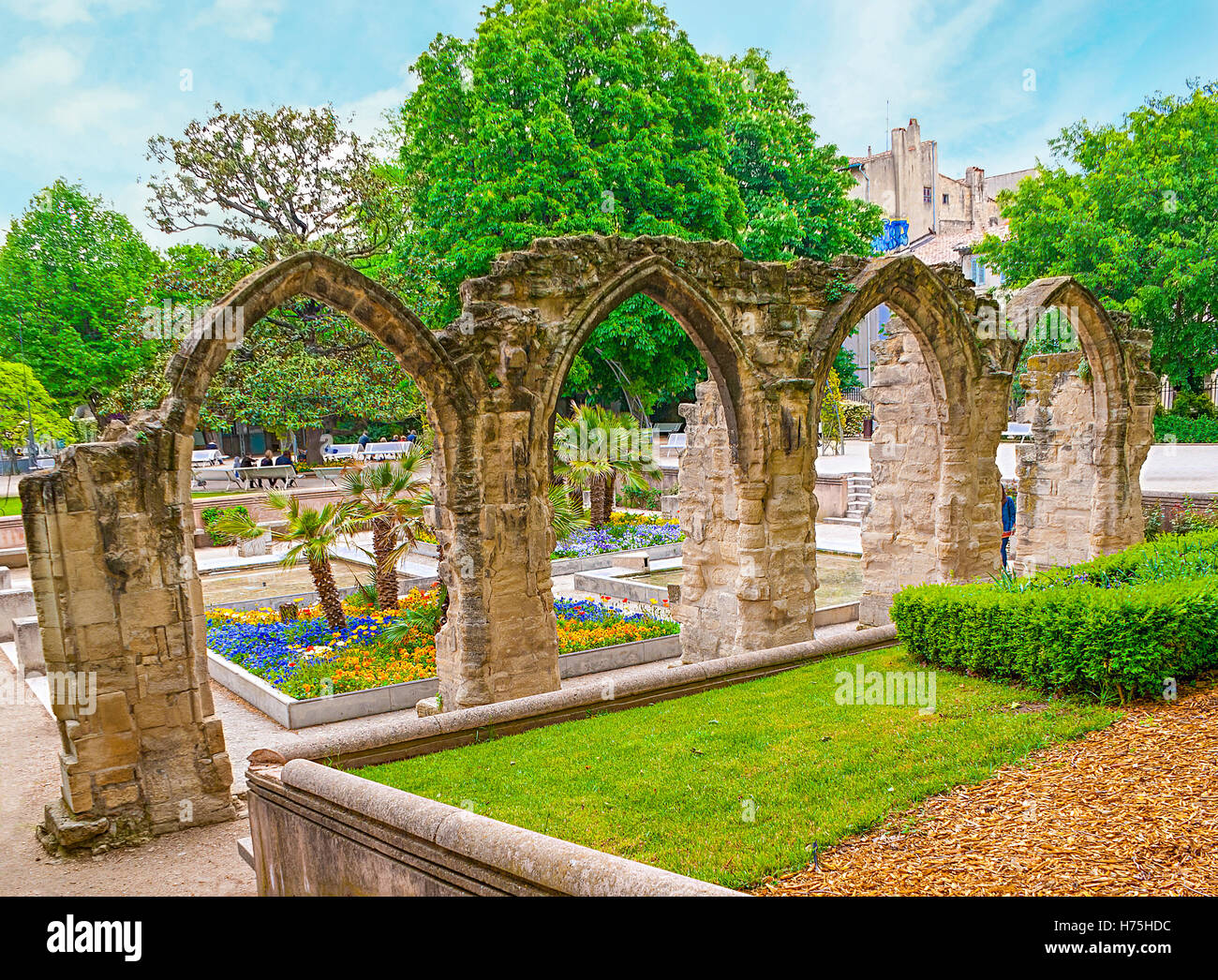 Ruines du cloître du monastère bénédictin, situé sur la place Agricol Perdiguier, décoré avec des parterres de fleurs du petit jardin, Avignon, France Banque D'Images