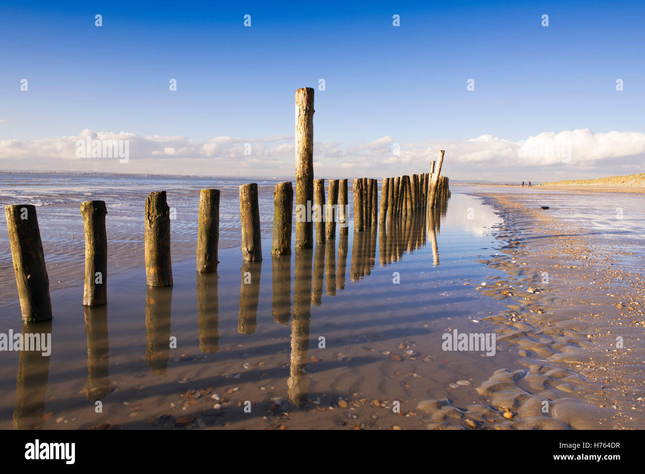 Poteaux de bois dans les sables à West Wittering beach par un beau jour d'hiver Banque D'Images