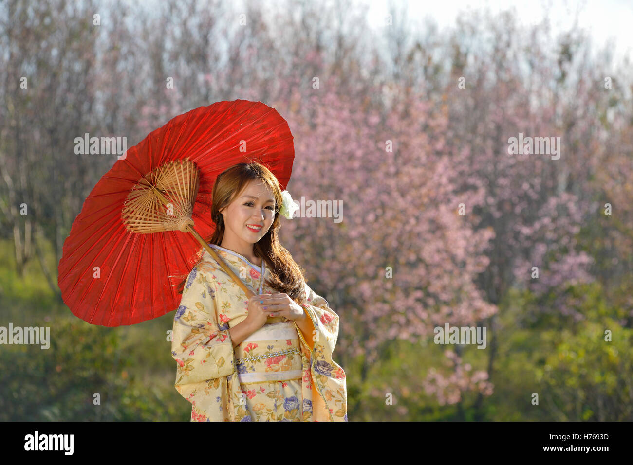 Asian woman wearing kimono traditionnel japonais Banque D'Images