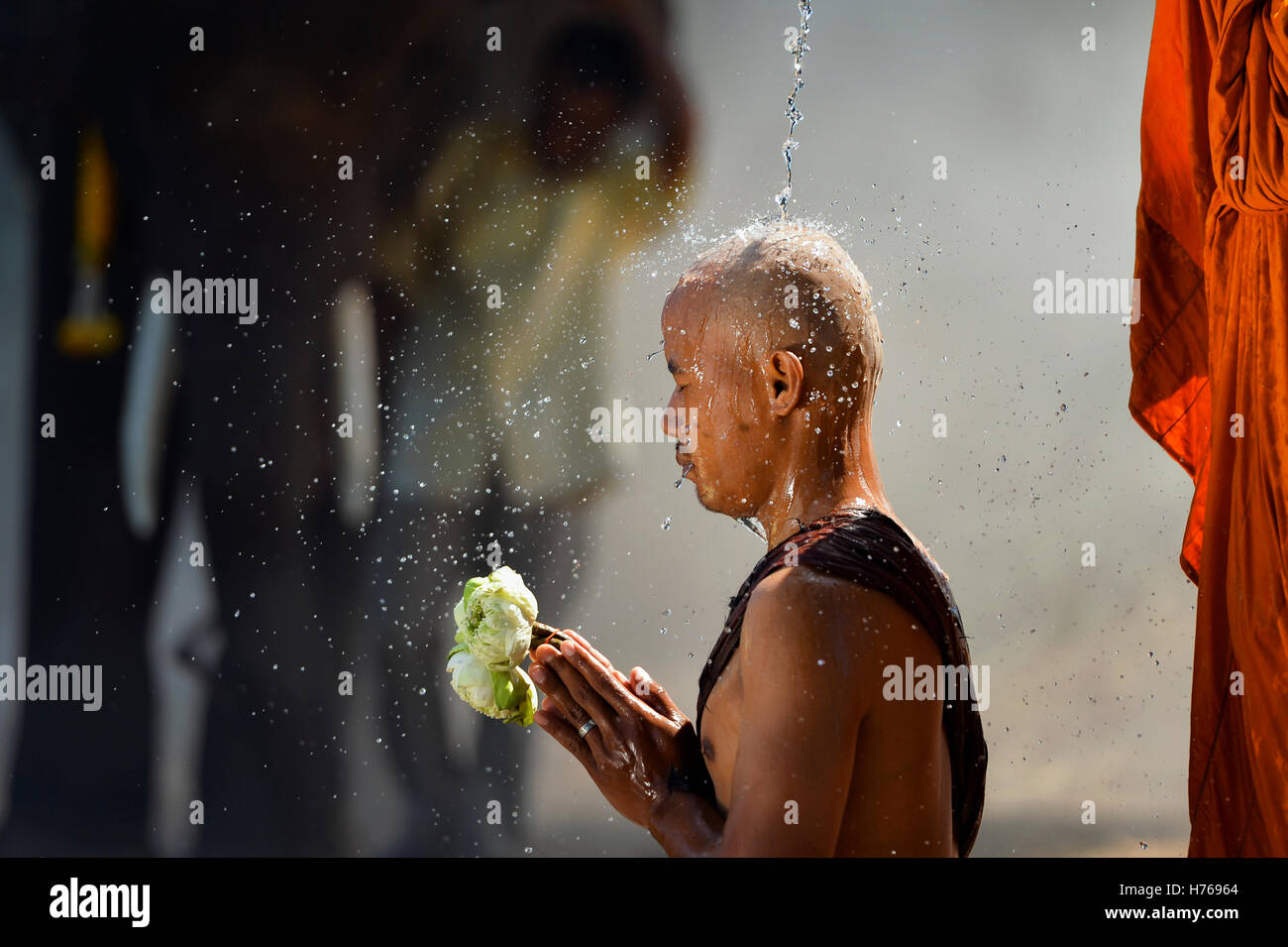 Portrait d'un moine verser de l'eau sur une autre tête de moines, Thaïlande Banque D'Images