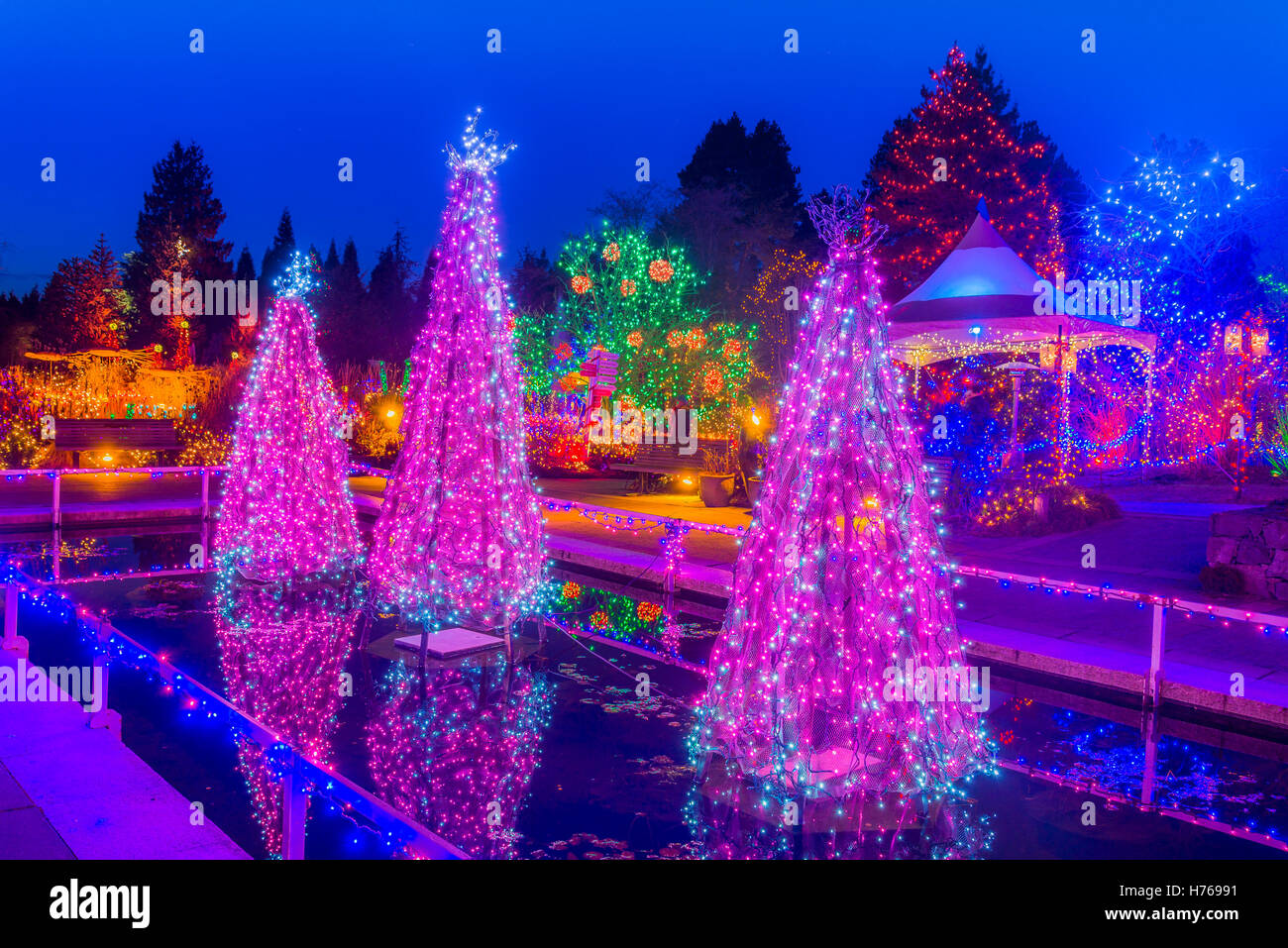 Festival des lumières, le Jardin botanique VanDusen, Vancouver, British Columbia, Canada Banque D'Images