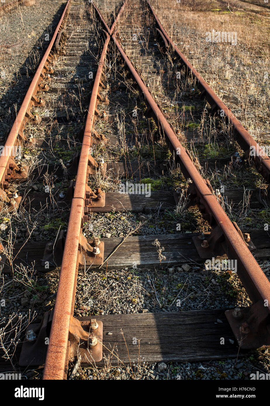 Des voies de chemin de fer abandonnée Banque D'Images