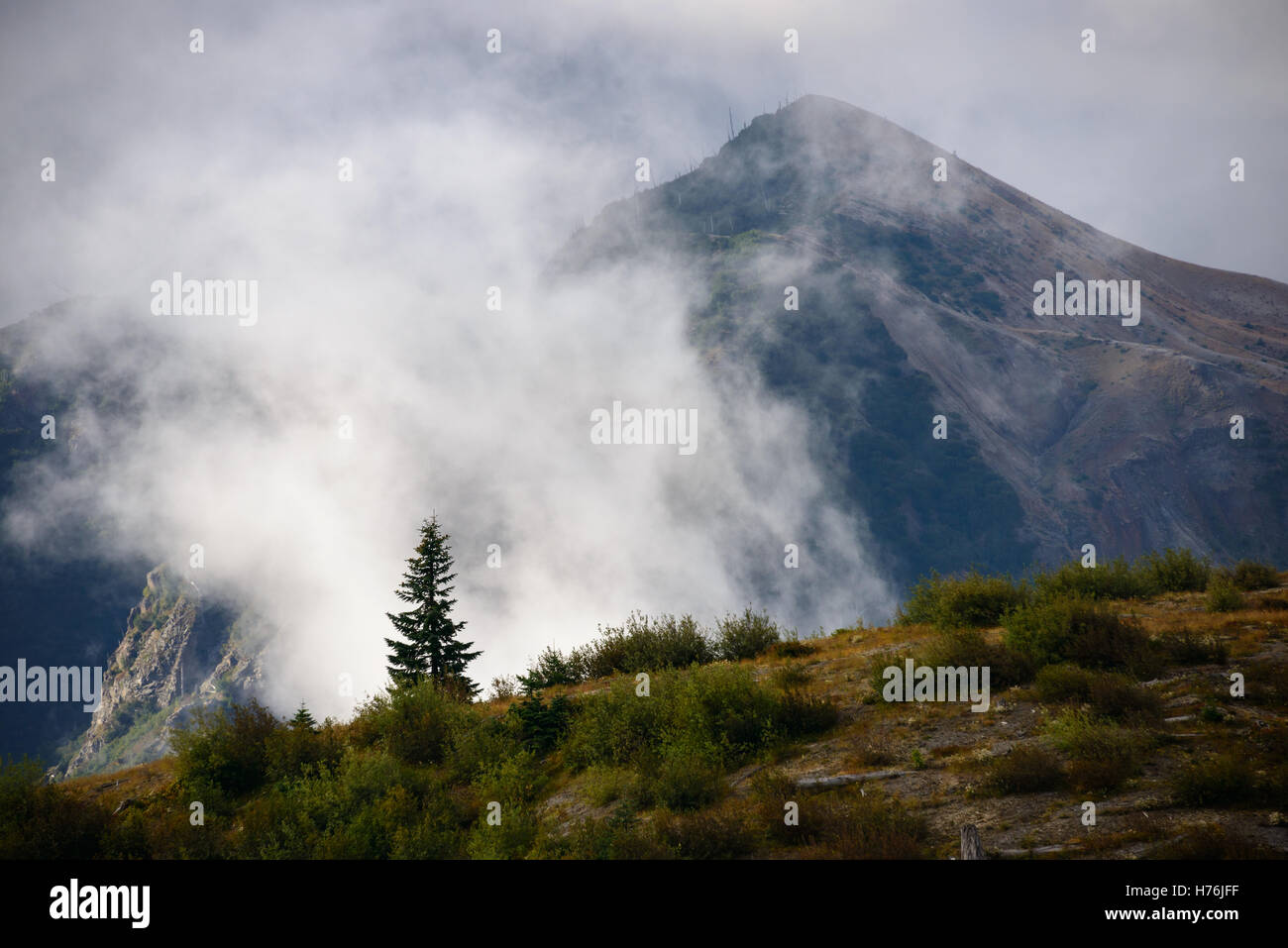 Mont St Helens Monument Volcanique National Banque D'Images