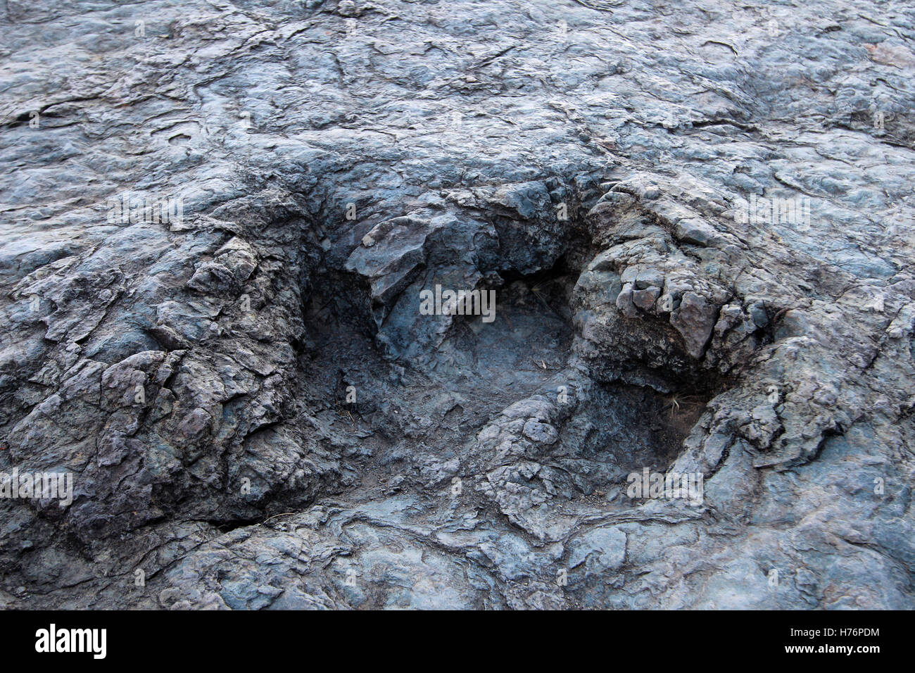 D'énormes empreintes de dinosaures, vallée de Maragua, Bolivie Banque D'Images