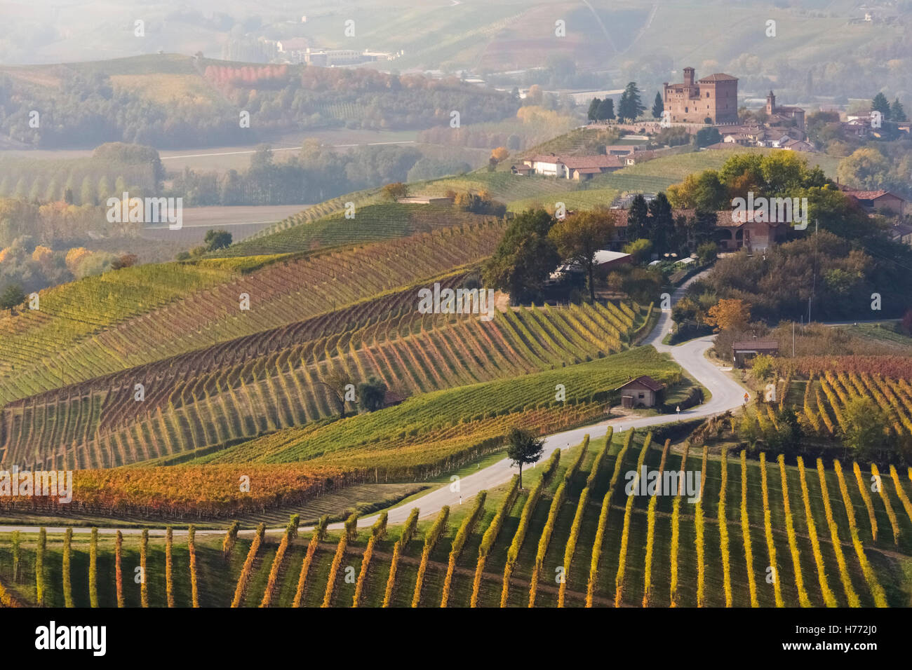 La route vers le château de Grinzane Cavour, Langhe, Cuneo, Piémont, Italie. Banque D'Images