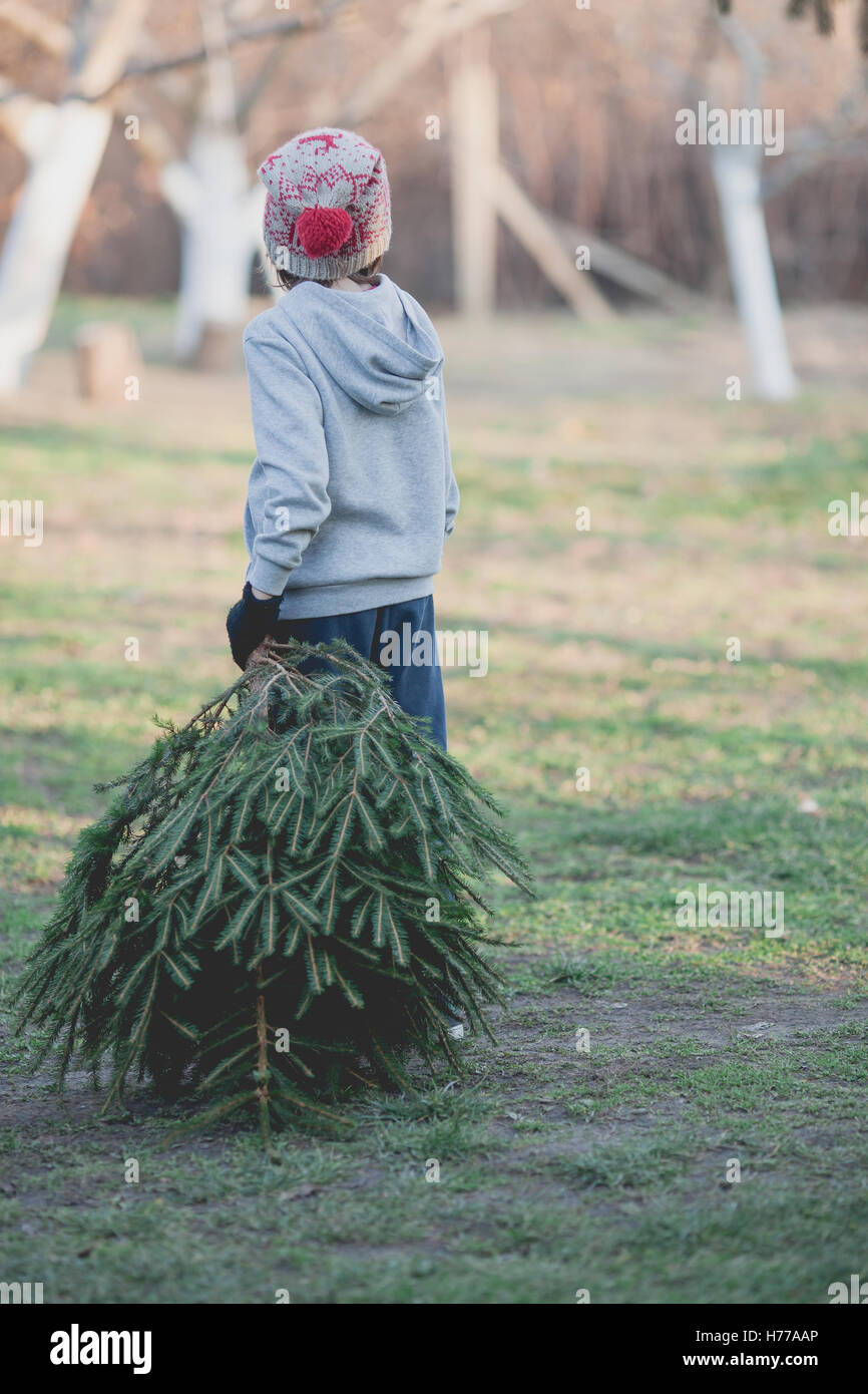 Garçon transportant un arbre de Noël Banque D'Images